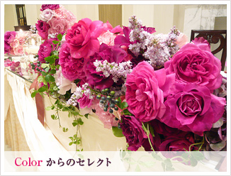 bn_color