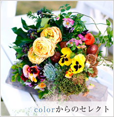 wed_bn01