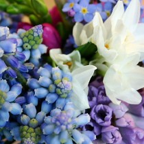 春 花束 ヒヤシンス パンジー 花言葉 石川県金沢市の素敵なお花屋さんhanamaru ハナマル